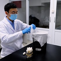 Video: Embryo Microinjection and Knockout Mutant Identification of CRISPR/Cas9 Genome-Edited Helicoverpa Armigera Hübner