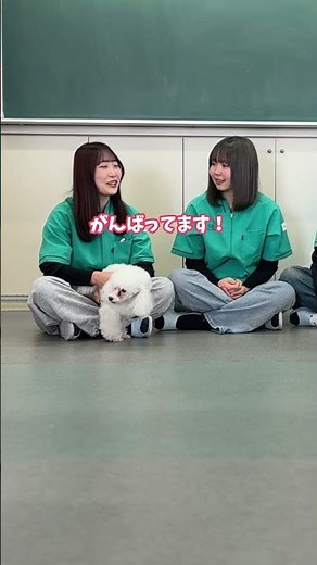 入学前のよくある質問に学生が答えてくれました✂️🐕🐾