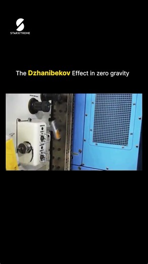 The Dzhanibekov Effect: The Weird Zero-Gravity Trick #shorts #nasa #space