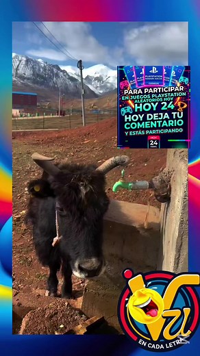 link De Eneba.com 👇 https://ene.ba/KAC-ENEBA También Puedes Acceder desde El Perfil. Doblaje de Animales Graciosos. animales Graciosos #animalesgraciosos #doblajesvirales #doblajevenezolano #doblajesgraciosos