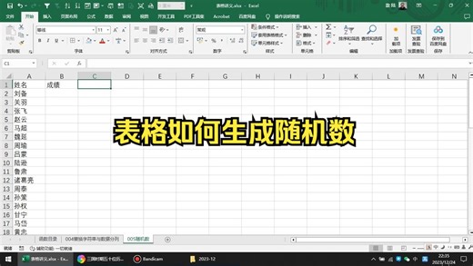 005表格如何生成随机数，如何用rand函数