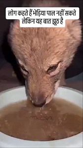 LATEST NEWS CAL 7056237000 #house_map7000 #Home. #InteriorDesign. #Deco. #Decor. #HomeDecor. #Decoration. #Interiors. #HomeStyle. | मकानों के नक्शे सतनाली