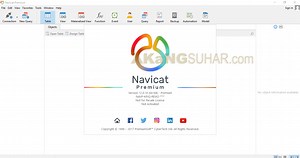 Navicat Premium 10 Serial Key