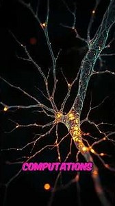 This Theory Changes Everything About Consciousness #quantumphysics #mindblown