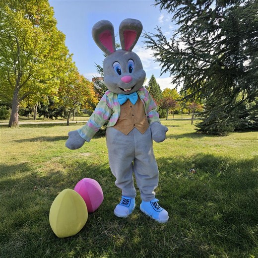 Grey Mascot Costume of Rabbit | Bunny Costume for Easter - Etsy