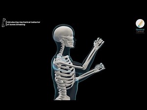 Fractured: Inside the Anatomy of a Broken Bone