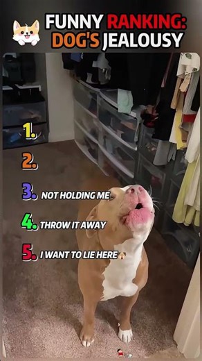 #reactionvideo #reactions #omg #wtf #unexpected #no_way#respectmoment #respectpost #kindness