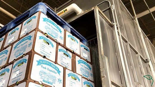 4.1K views · 110 reactions | Ever wonder how your produce stays safe and fresh from the farm ALL THE WAY to the grocery store? The cold chain! Anthony Ratto of Ratto Bros. explains how this process keeps fruits and veggies fresh! | Western Growers | Facebook