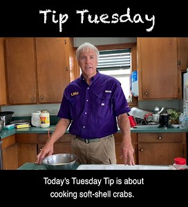 Soft-shell crabs are a special treat in Louisiana! Mark Shirley, LSU AgCenter and Louisiana Sea Grant agent, demonstrates how to fry this delicacy! | LSU AgCenter