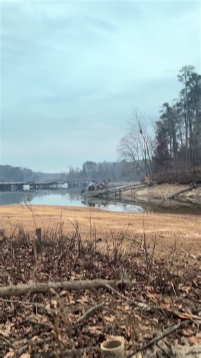 Mastering Duck Calling Techniques for Park Mallards