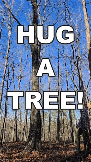 Go Hug A Tree! #treehugger #hug #naturelover #mentalhealth #reducestress #improvefocus #shorts #hug