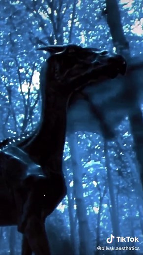 bilvsk.aesthetics on TikTok