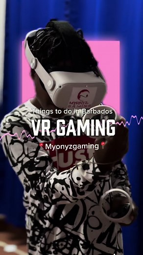 Epic Family VR Gaming Experience in Barbados