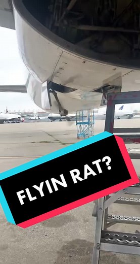 The blades on the rat go round and round? #rat #airplane #b767 #aircraft #boeing #airplanetok #Aviationdaily
