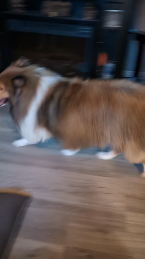 look how handsome he looks | Rita Da Silva