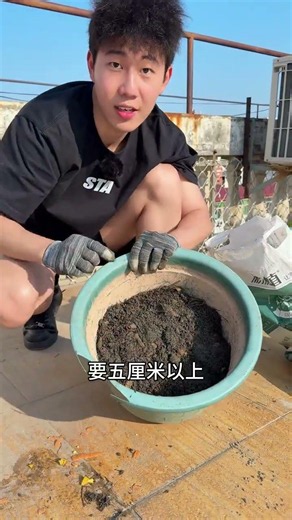 Discover the Secret to DIY Top-Quality Nutrient Soil