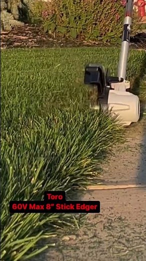 Toro 60V Max 8” Stick Edger 😳