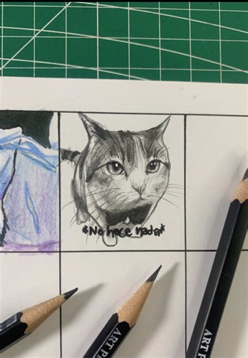 Creative Drawing Stickers for Cat Lovers