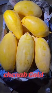 Grewal Mango Solutions on Reels