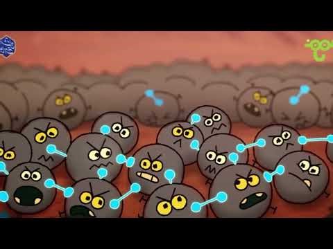 Storybots virus king