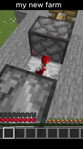 carpet duper 1.21.8 #blazer1 #minecraftshorts