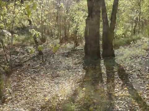 Red River Valley w. Lyrics