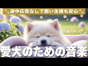 犬が落ち着く音楽 (12時間広告なし) 🐶 愛犬がリラックスする音楽 | 癒しのピアノ / 夜泣き防止 / vol.1036