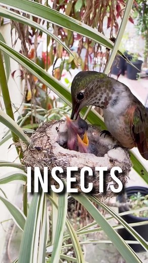 TikTok - Make Your Day