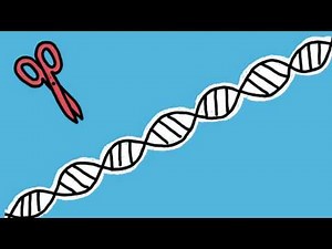 CRISPR.ML - Machine learning meets gene editing