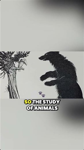 Why we anthropomorphize animals — and what that reveals about you