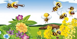How do bees choose which pollen to use? - Science Journal for Kids and Teens