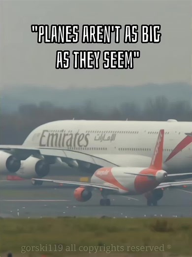 ✈︎gorski119✈︎ on TikTok