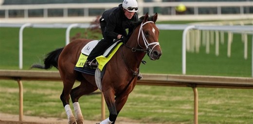 Preakness Journalism Odds, History and Predictions