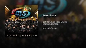 Amor Fresa❤🎶🎶 Banda MS🎺 | Musiqueando_net
