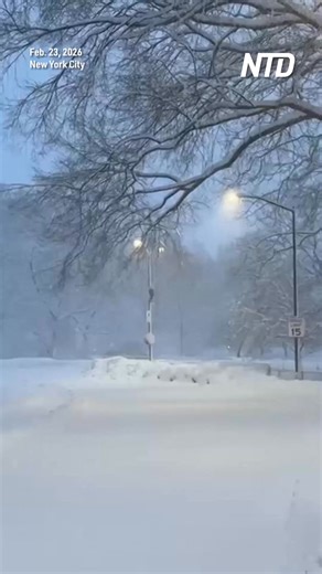 Millions of people in New York City and a large swath of the northeastern United States were stuck at home under road travel bans and blizzard warnings on Monday as a fierce winter storm barreled into the densely populated region, bringing high winds and heavy snowfall. | NTD Life