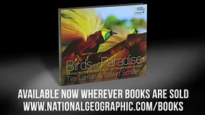 43K views · 2.5K reactions | Photographed for the first time in...