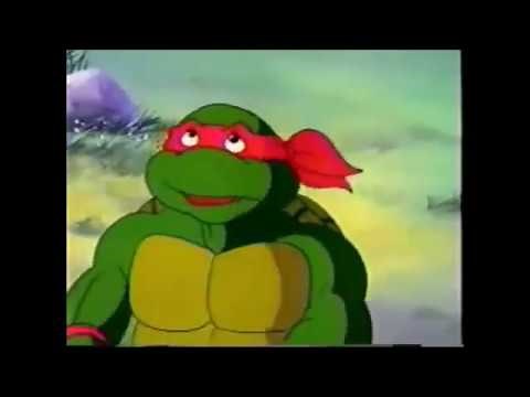 Turtle Tips