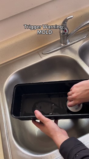 CLEAN YOUR BRITA!! #cleaningtiktok #cleaningtok #cleaningvideos #cleantok #cleanhome #cleaningmotivation #mold #omg #brita #water #cleanwithme #filterchange | Cleaning Motivation
