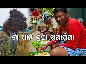ଗାଁ ଧାନ ବୁହା ଖିଆପିଆ 😋 l ଆଳୁ ଚାଷ ଆରମ୍ଭ l Gouranga Nayak Odia Vlogs