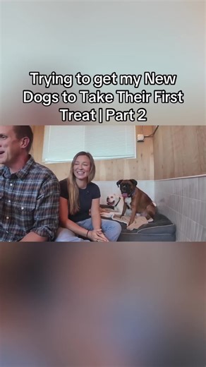 Getting My New Dogs to Enjoy Their First Treats