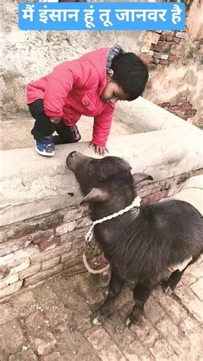 सही तो बोला है🫤😡🤨#shortsvideo