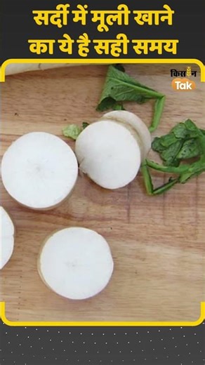 Radish Benefits: सर्दियों में किस समय खाएं मूली, जानें सही समय | #Shorts | Kisan Tak