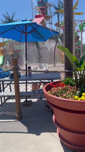 Cassie DesBouillons CO Realtor on TikTok