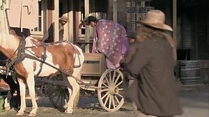 Mail Order Bride 2008(2)