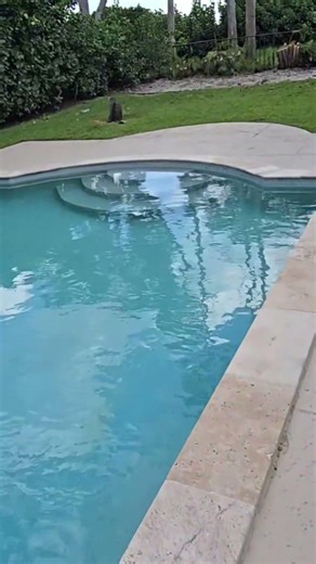 New project, pool remodel, patio and landscaping design coming soon 😎