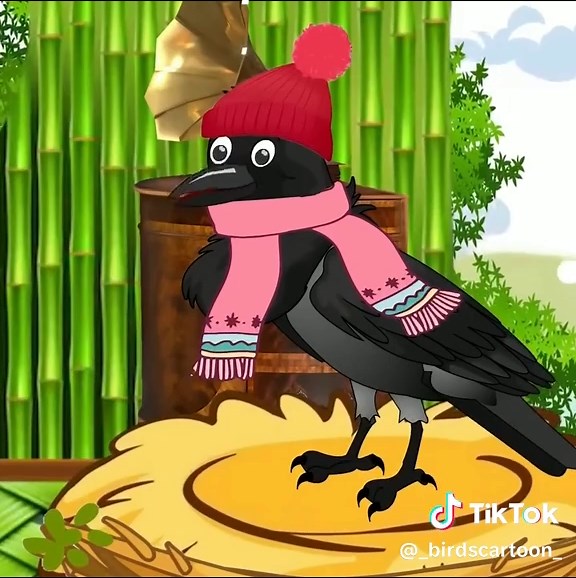 #rainydays #birdlife #cartoonvideo #viralvideos
