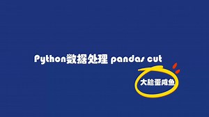 Python数据处理 pandas cut