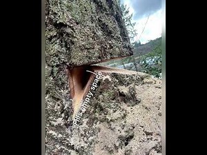 Sizwell explained! Watch until the end for video!