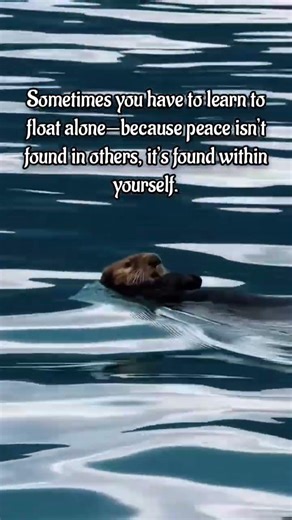 Floating Alone, Finding Peace 🌊