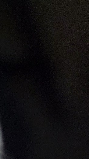 Small Insect Revealed: Study of a Spider